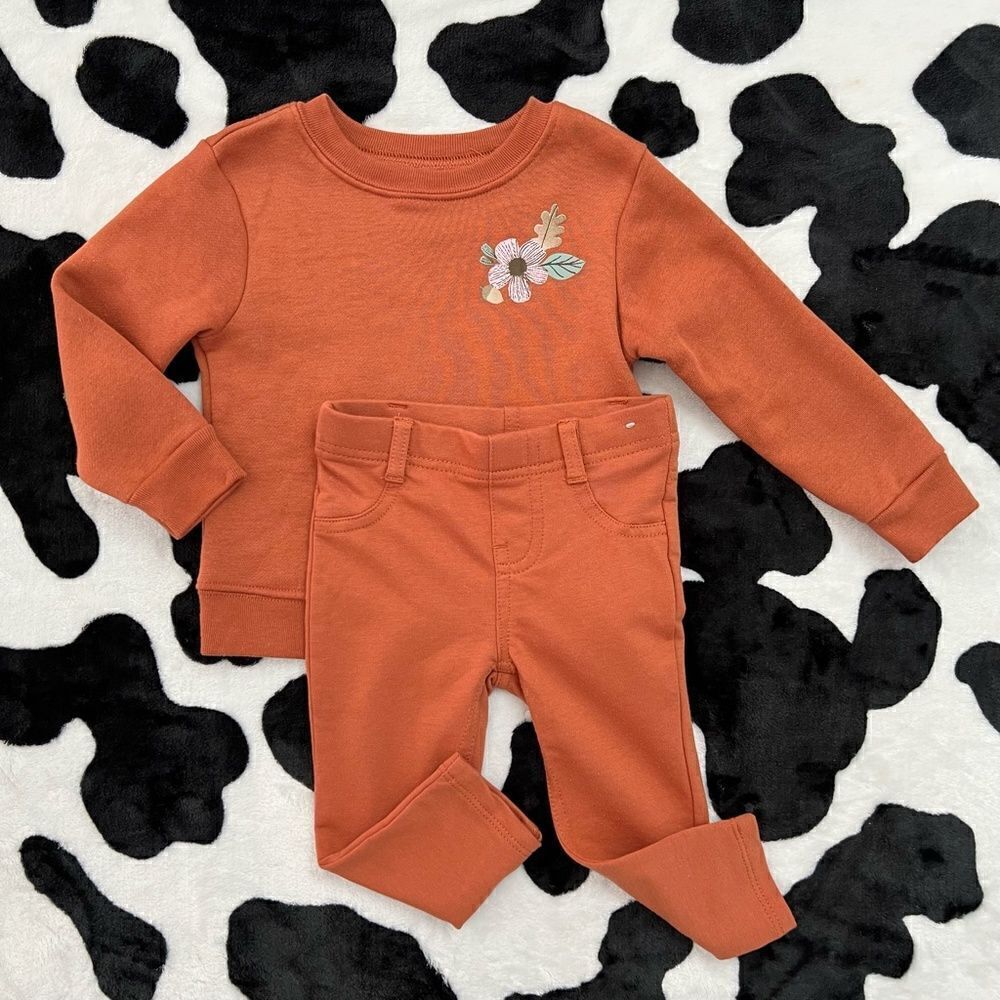 Baby Girl Fall Outfit Set 18 months - Picture 2 of 11